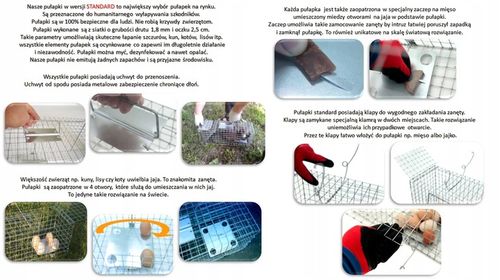 żywołapka pułapka na kuny, koty, lisy super szybka na Arena.pl