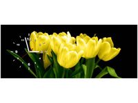 100X40CM ZEGAR ŻÓŁTE TULIPANY- MARK FREETH OBRAZ