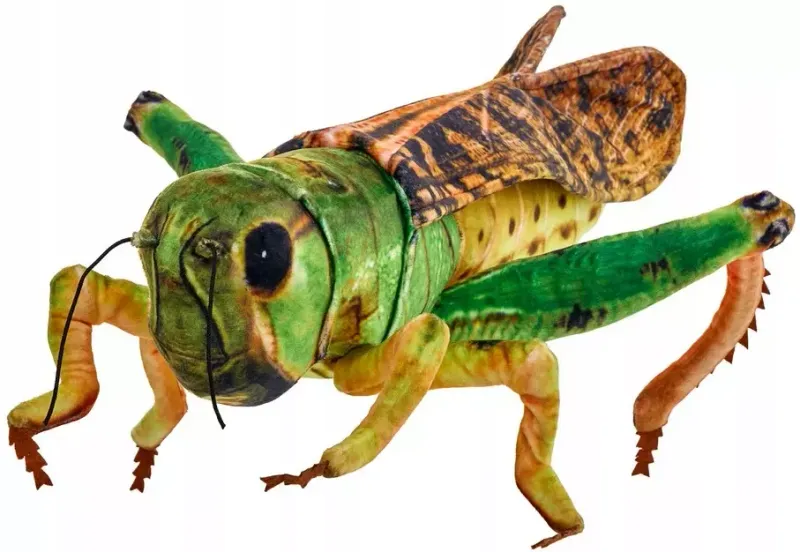 Konik polny 41cm zdjęcie 1