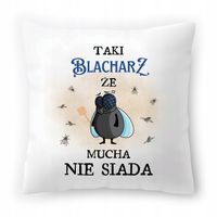 Poduszka Dla Blacharza Urodziny Imieniny Prezent Z Nadrukiem Ze Zdjęciem
