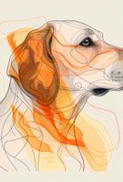 Plakat 68x101cm Kontur Profilowego