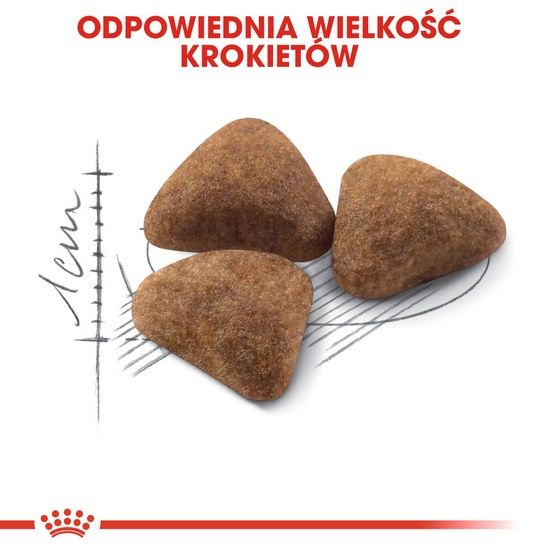 Karma dla kotów dorosłych, przebywających wyłącznie w domu Royal Canin 2kg zdjęcie 6