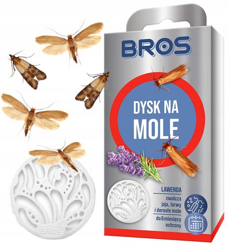 bros - dysk na mole lawenda - 5 szt. na Arena.pl