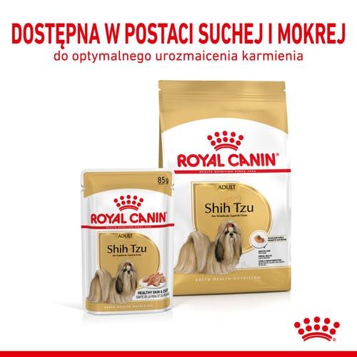 Royal Canin Shih Tzu Adult Karma Mokra Dla Psów Dorosłych Rasy Shih Tzu na Arena.pl