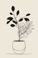 Plakat 68x101cm Prostota Doniczki