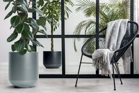 product-compare-58442375