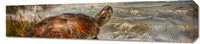 Obraz 90x20cm Nadmorski Żółw