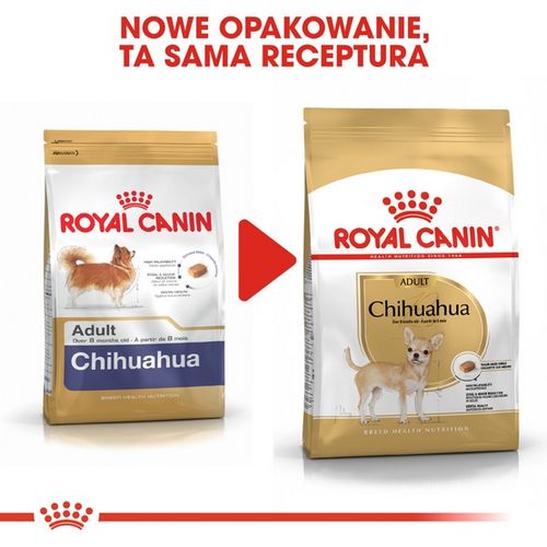 Karma sucha dla dorosłych psów chihuahua - Royal Canin HIGIENA ZĘBÓW 0,5kg na Arena.pl