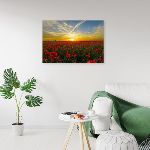 Deco Panel, Łąka pełna maków 90x60 na Arena.pl