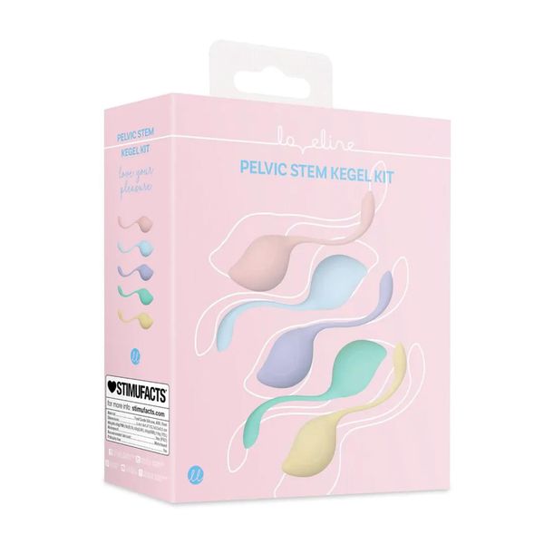 Pelvic Stem Kegel Kit - Multicolor zdjęcie 2
