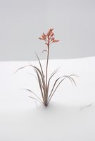 product-compare-59356749