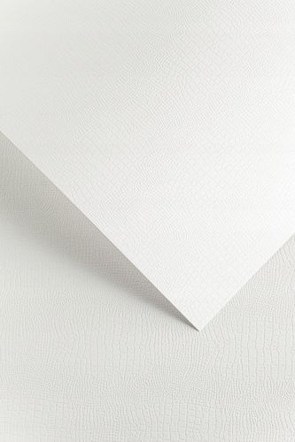 karton ozdobny borneo biały 220g/m2 (20) 4692 na Arena.pl