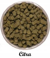 Chmiel CITRA 2024 Granulat 100 g USA – aromatyczny hit do IPA!