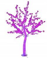 product-compare-61538074