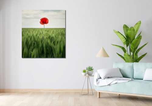 Obraz 90x100cm Samotny Mak na Polu na Arena.pl