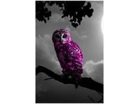 40X60CM FIOLETOWA SOWA OBRAZ