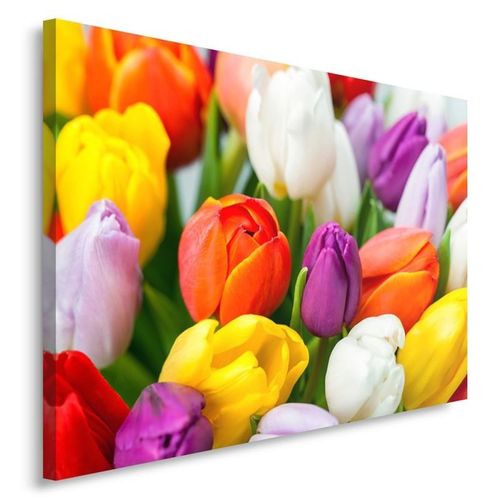 Obraz na płótnie - Canvas, Kolorowe tulipany 50x40 na Arena.pl