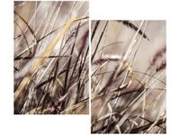 80X70CM BUSZUJĄCY TRAWIE NINA MATTHEWS DUO OBRAZ