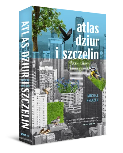 Atlas Dziur I Szczelin na Arena.pl