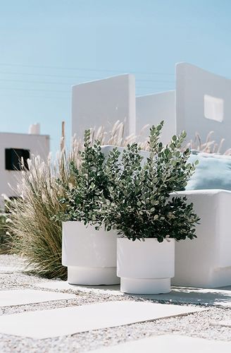 DONICZKA OSŁONKA NA KWIATY WKŁAD HEOS BIAŁA 30CM na Arena.pl