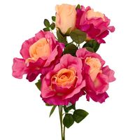 product-compare-61190411