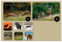 Tacka + 6 podkładek myśliwskich komplet