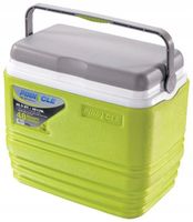 Lodówka turystyczna zielona, na jedzenie napoje Pinnacle TPX 7013 10L
