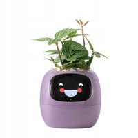 Doniczka IVY PLANTER Inteligentna osłonka SMART donica porady ogrodnicze