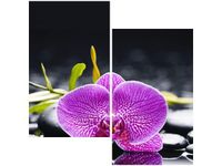 60X60CM ORCHIDEA DWU OBRAZ ŚCIAN