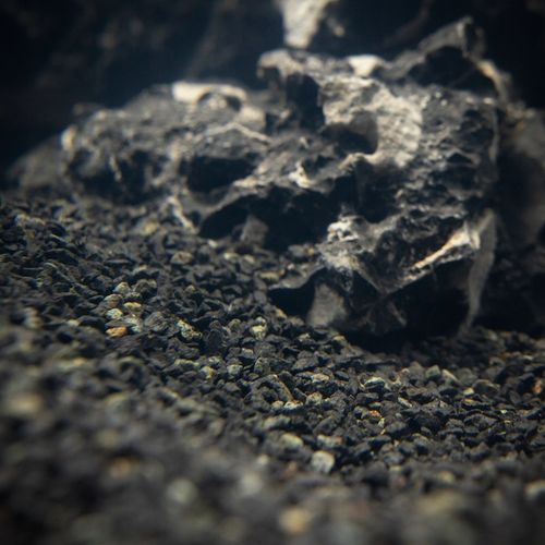 Czarny Piasek Żwirek do Akwarium Naturalny Doskonały dla Roślin 24kg 2-3mm na Arena.pl