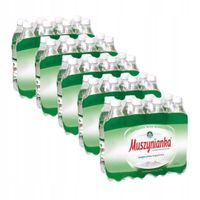 Muszynianka plus Naturalna woda mineralna niskonasycona CO2 0,6l x 40 sztuk