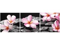 90X30CM SPA TRÓJ OBRAZ