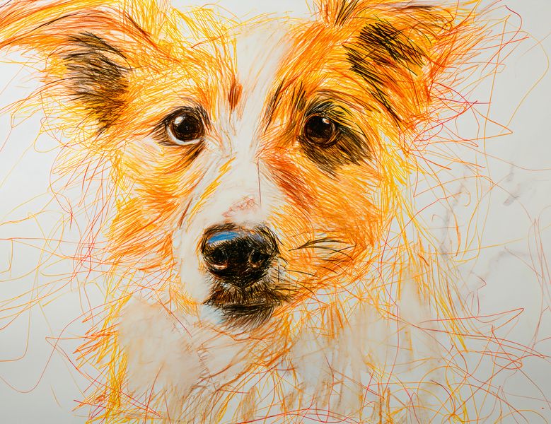 Plakat 65x50cm Uroczy Gość zdjęcie 1