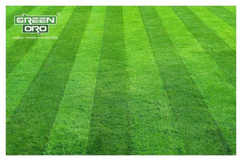 Nawóz do Trawnika Iglaków Tui Róż REGENERACYJNY 10kg CHISSO SAI SEI na Arena.pl