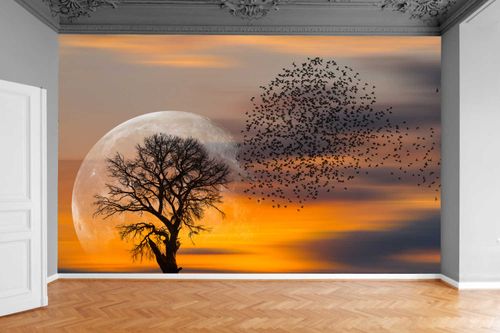Fototapeta DRZEWO KSIĘŻYC ZACHÓD SŁOŃCA 390x280 na Arena.pl