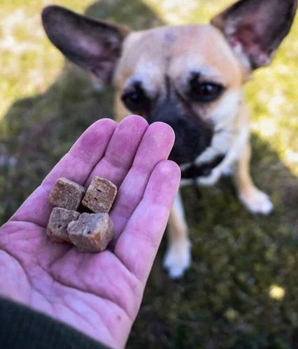 Kiwi Walker Snacks 100% królik, liofilizowane przysmaki dla psa kota 75g na Arena.pl