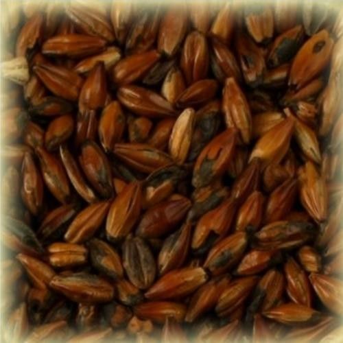 Słód Château Cafe 500 EBC Castle Malting® 1 kg na Arena.pl