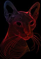 Plakat 70x100cm Cyfrowa Kocica