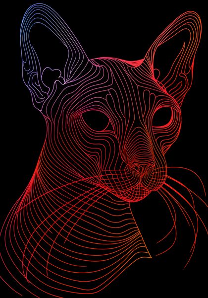 Plakat 70x100cm Cyfrowa Kocica zdjęcie 1