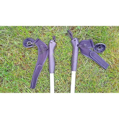 Kije trekking BEST SPORTING Classic z rękawiczką na Arena.pl