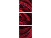 90X30CM BORDOWA RÓŻA TRÓJ OBRAZ DRUK