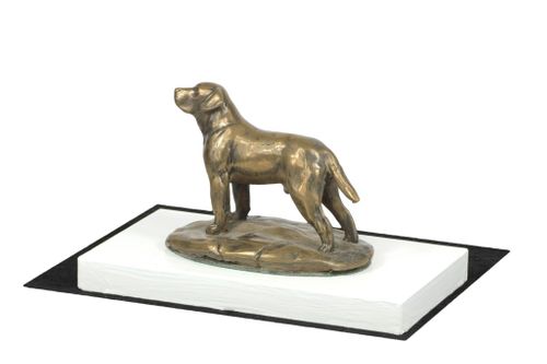 Labrador Retriever - figurka - 4574 na Arena.pl