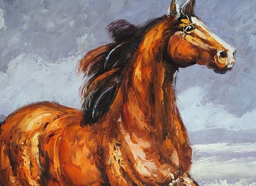 Koń (50x60cm) na Arena.pl