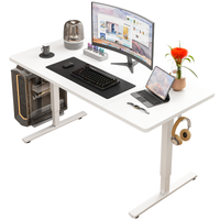 Biurko Elektryczne Regulowane 120x60cm Regulacja Wysokości Gamingowe Białe