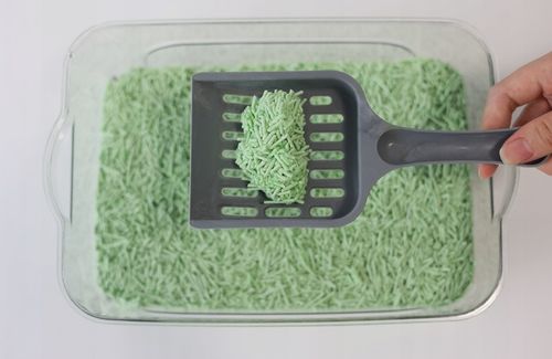 Żwirek Tofu dla Kotów ZIELONA HERBATA BuBu Pets 2,5kg zbrylający biodegrad na Arena.pl