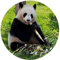 product-compare-62001148