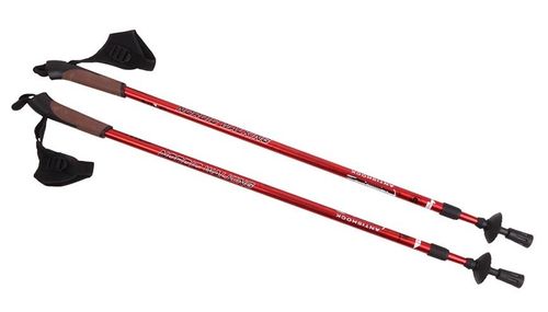 Kij Nordic Walking Nils NW 802 na Arena.pl