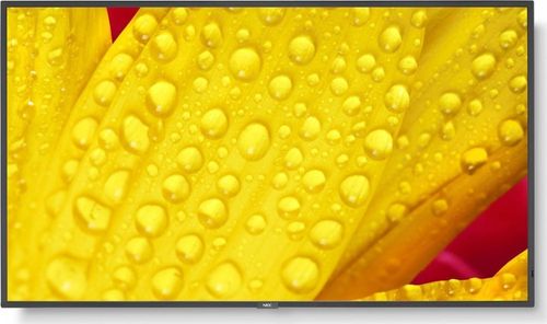 Monitor NEC 50" 60005053 na Arena.pl