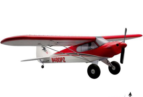 Sport Cub BNF na Arena.pl