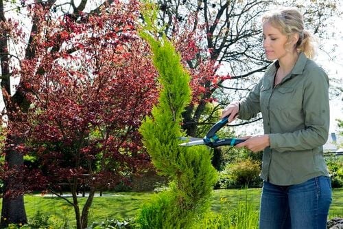 nożyce do żywopłotu - hg-12302-20 na Arena.pl